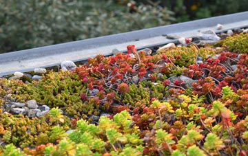 the cost of Tadwick green roof installation