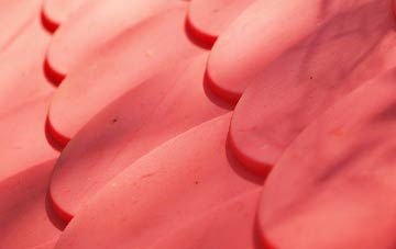 Tadwick plastic roof costs